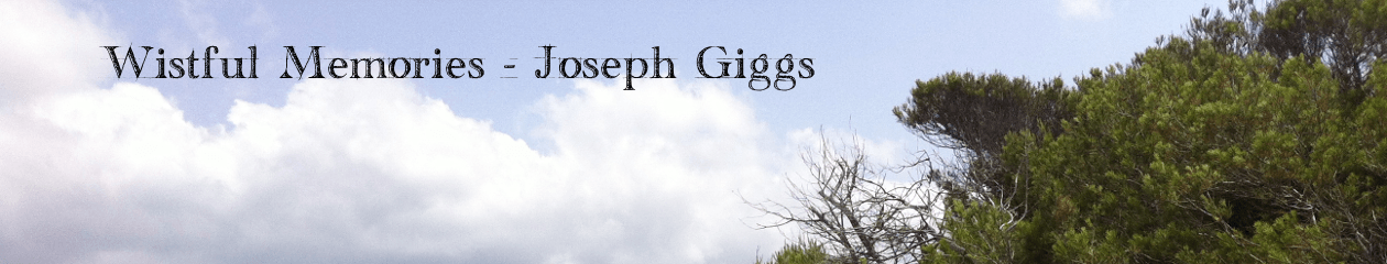 Solo Performance – Joseph Giggs
